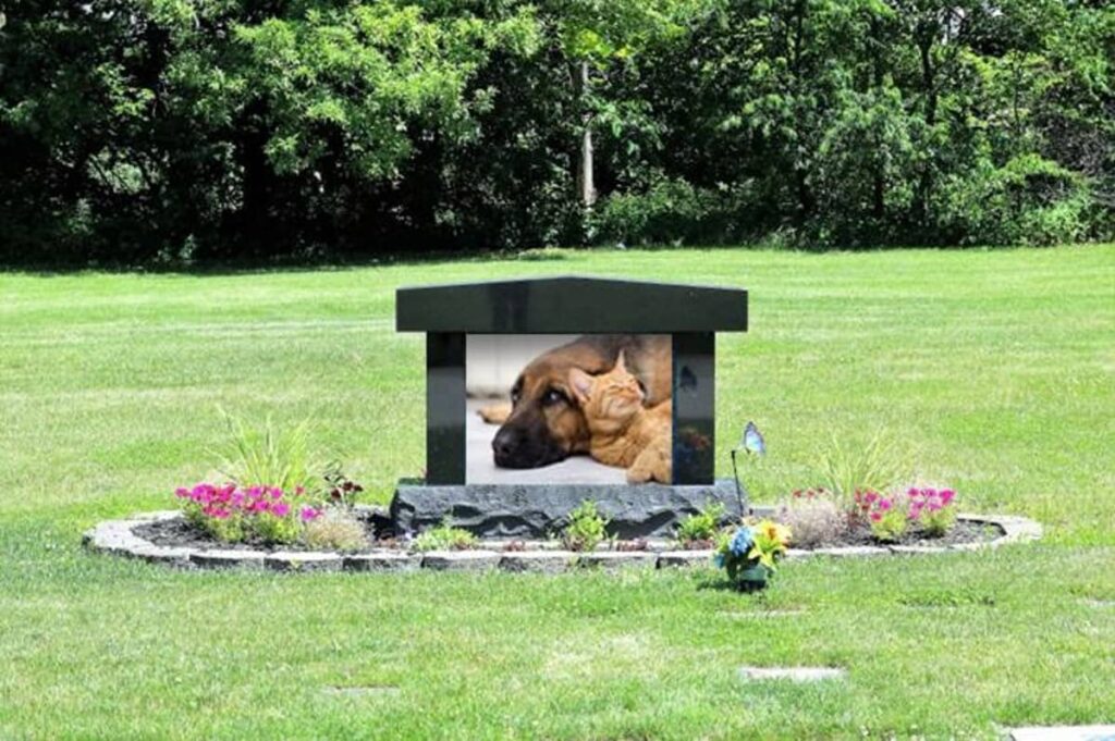 How To Bury a Dog