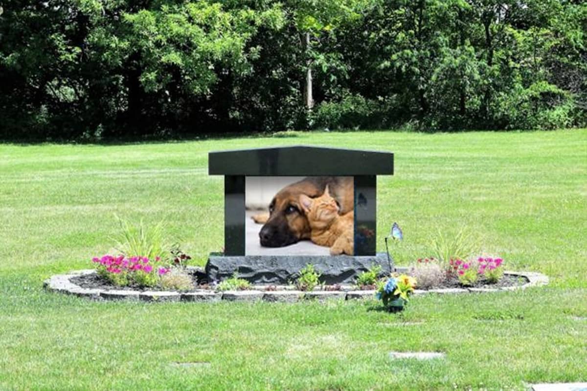 How To Bury a Dog